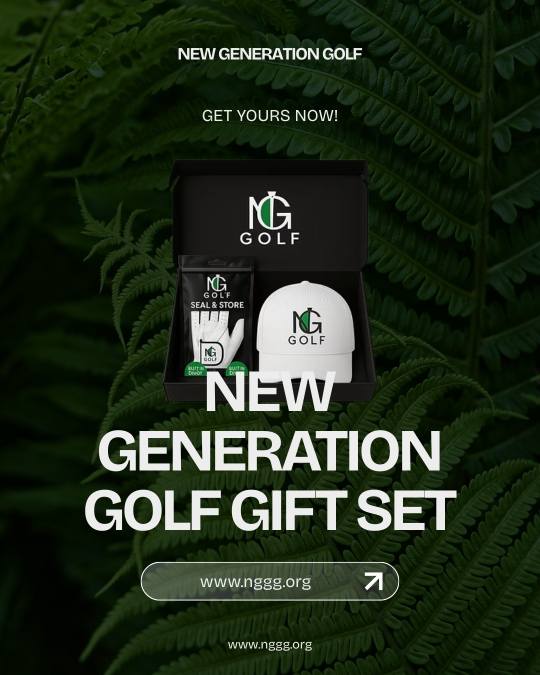 NG Golf Glove 2